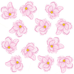 Seamless pattern with pink magnolia flowers