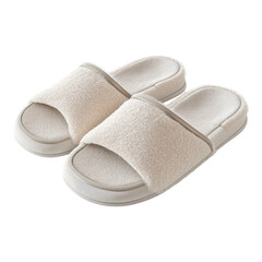A pair of slipper isolated on transparent background