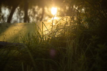 Golden Sunset Reflected in Lake
