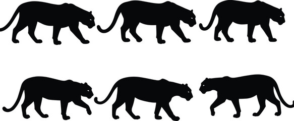 Panther silhouette set – black big cat walking vector illustrations, wild feline clipart, animal wildlife predator collection design