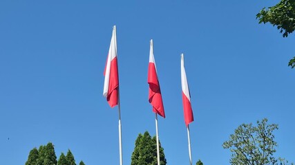 Three Polish flags on blue sky.