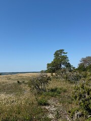 Summer landscape in Gotland, Swedish island in the Baltic sea
