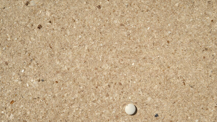 Highly Detailed Photorealistic Aerial View of Fine Grains of Beach Sand with Scattered Small White Shells and Pebbles, Capturing Natural Coastal Texture