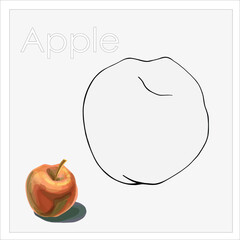 A creative illustration of an apple with a detailed black and white outline for coloring and a full color version. Perfect for children's books, printable worksheets, art activities, and fruit-themed 