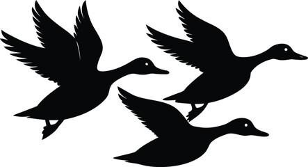 duck in flight  black silhouette vector,pintail duck flying  icon illustration