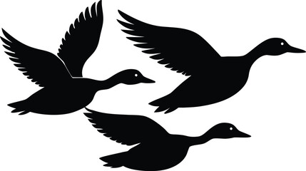 duck in flight  black silhouette vector,pintail duck flying  icon illustration