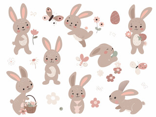 set of rabbits