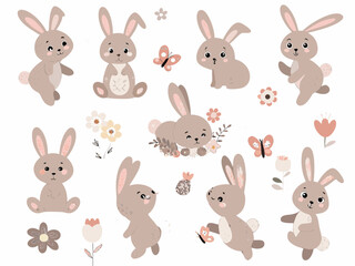 set of rabbits
