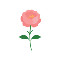 Luxurious Pink Peony Flat Color Icon: Romantic Floral & Garden Symbol