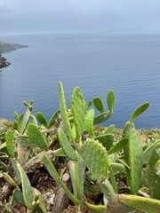 ein Spaziergang durch Caniço auf Madaira vorbei am Aussichtspunkt Ponta do Garajau und der Christo-Rei-Statue und vielen Pflanzen und Kakteen in den Sonnenuntergang