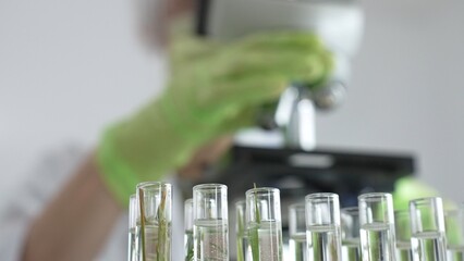 Close up of test tubes with a scientist analyzing plant samples in test tubes with a microscope,...