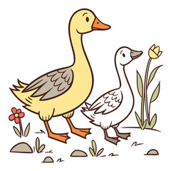 duck on a white background