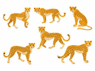 set of wild animals isolated