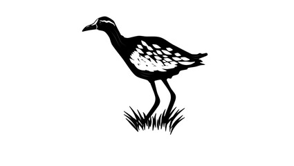 Bronze-winged Jacana bird, black isolated silhouette