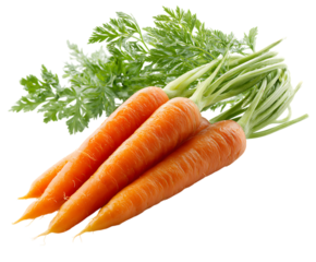 Fresh organic carrots, ready to eat!