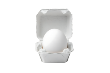 Single white egg sits in an open, small, recycled pulp paper egg carton isolated on white or transparent png, front view.