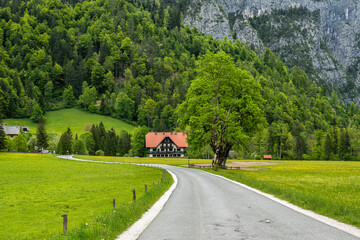 Country road leading to house in green alpine valley
