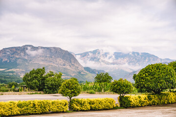 Landscape of green meadows between mountains, with a blue sky with clouds.
