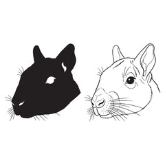 The Agouti Graphic - Unique Mammal - Bristly Fur - Agouti silhouette - Agouti lineart - Agouti vector - vector set of Agouti

