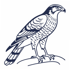 Obraz premium Vector art of a detailed outline illustration of a hawk perched on a branch