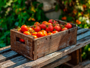 Fresh ripe tomatoes in a rustic wooden crate on a garden table