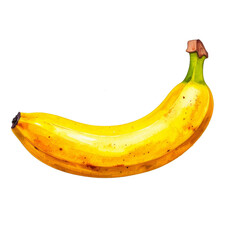 Banana illustration watercolor style.
