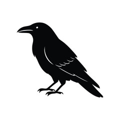 Fototapeta premium Silhouette of a black crow perched on white background