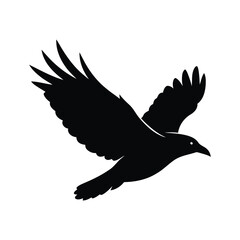 Obraz premium Silhouette of a raven in flight against a white background