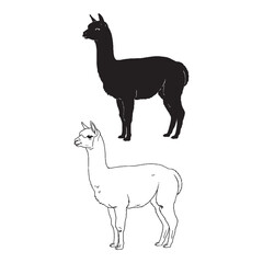 Alpaca Form Collection - Herd Animal - Friendly Face - Alpaca silhouette - Alpaca lineart - Alpaca vector - silhouette & lineart of Alpaca

