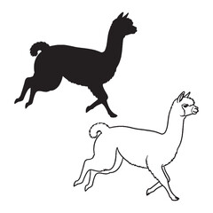 The Alpaca Outline Set - Andean Native - Long Neck - Alpaca silhouette - Alpaca lineart - Alpaca vector - vector set of Alpaca

