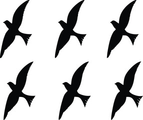 Fototapeta premium bundle of 6 black silhouettes of various types