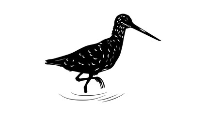 Long-billed Dowitcher bird, black isolated silhouette