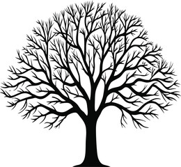 Obraz premium a single black silhouette of a bare tree with intr