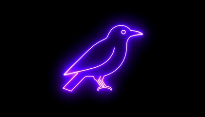Neon purple bird silhouette on black