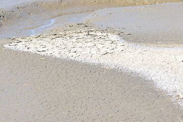 Dry cracked earth showing severe drought conditions