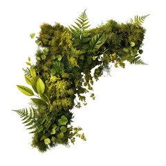 Botanical corner frames