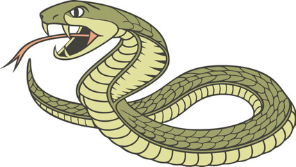 Obraz premium snake on a white background