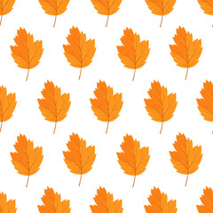 Seamless vector pattern with autumn leaves isolated on white background. Can be used to design postcards, posters, packaging, books, websites, products, advertising, prints on clothes, stories.