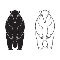 Anteater Visual - Unique Critter - Stealthy Forager - Anteater silhouette - Anteater lineart - Anteater vector - vector set of Anteater

