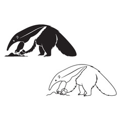 An Anteater Profile - Long Snout - Insect Eater - Anteater silhouette - Anteater lineart - Anteater vector - silhouette & lineart of Anteater


