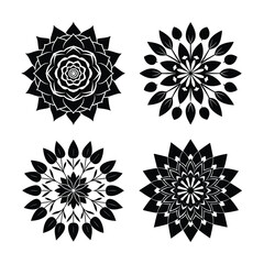 Most Beautiful Flower Mandala