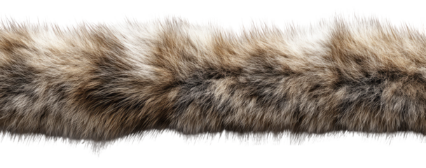 Long, thick, variegated fur