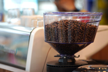 Fresh roasted coffee beans ready to grind in cafe machine