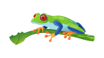 Obraz premium Find a red eyed tree frog vector illustration image for your design projects green frog on branch vector art
