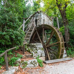 Old watermill nestled in woods