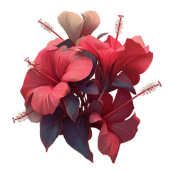 red rose on a white background