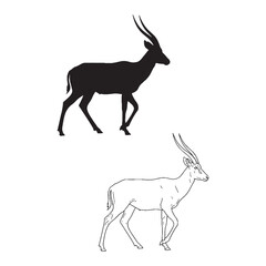 Fototapeta premium Antelope Figure Pairing - Solitary Spirit - Rounded Body - Antelope silhouette - Antelope lineart - Antelope vector - silhouette & lineart of Antelope