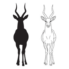 An Antelope Pair - Herd Animal - Elegant Neck - Antelope silhouette - Antelope lineart - Antelope vector - vector set of Antelope


