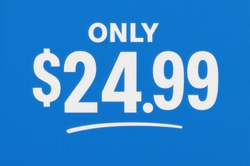 Bold white text on a blue background displaying the price "$24.99" with the word "ONLY" above it, suggesting affordability and promotion.