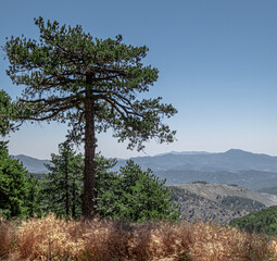 Troodos Geopark, located on Troodos
wooded peak, making up the deepest layer
of oceanic crust section, and Earth's upper
mantle, formed deep below sea-level more
than 90 million years ago, Cyprus
